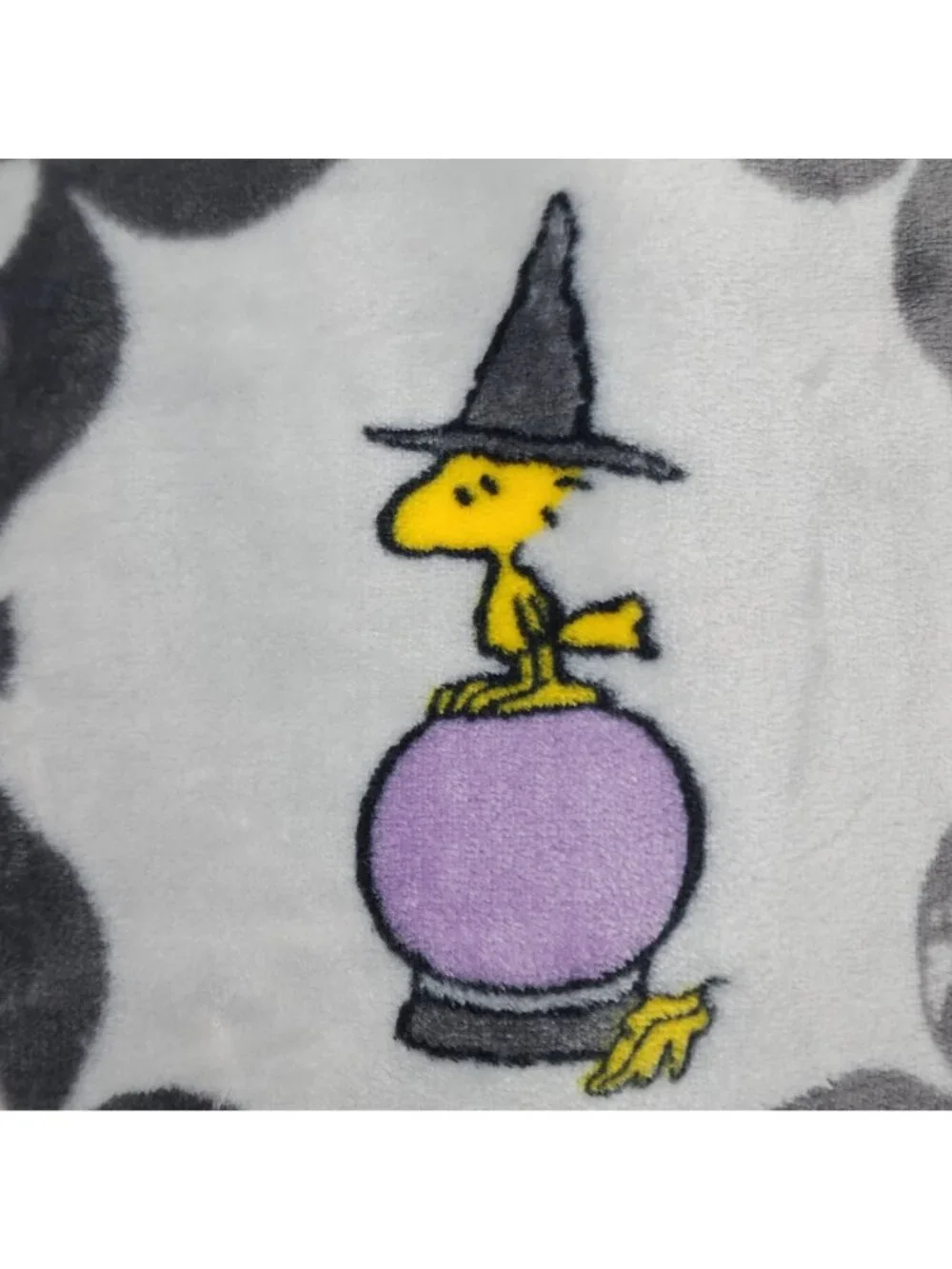 Peanuts VelvetLoft Throw Blanket 60